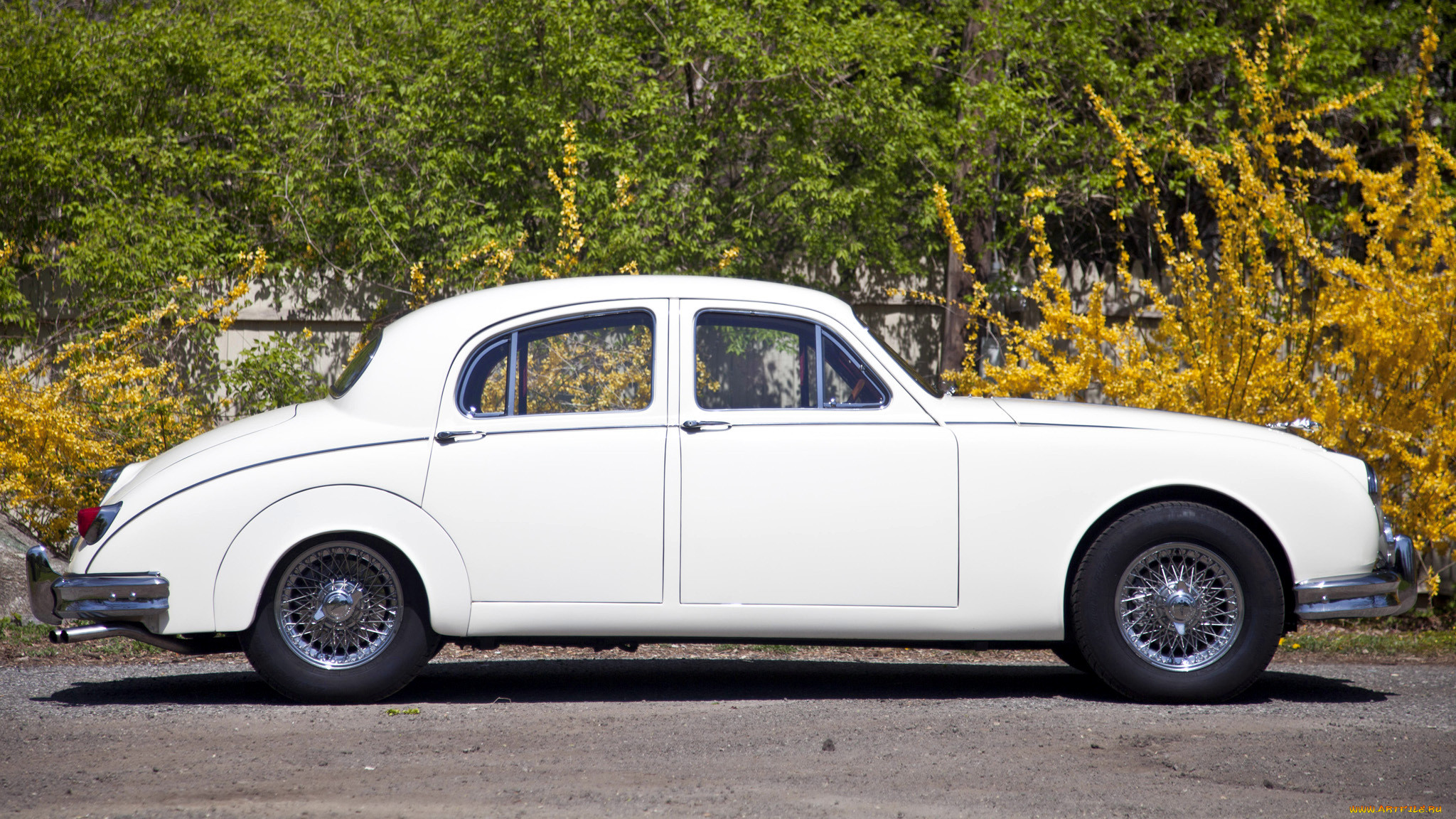 jaguar, mark, , , tata, motors, -